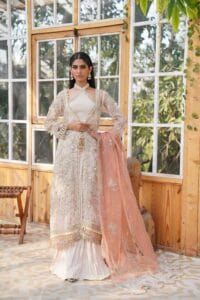 Embroidered Organza Festive Outfit Dubai
