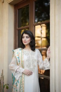 Organza | Silk | Hand Embroidery | Dervesh Luxe