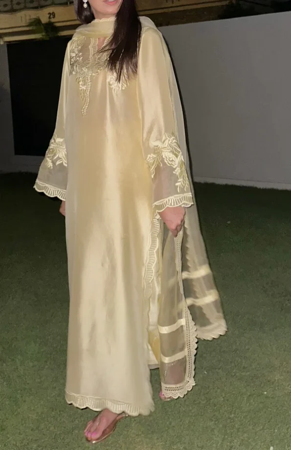Dervesh Luxe | Merriam Wajid | Silk | Organza | Festive | Cut Work