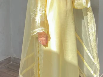 Dervesh Luxe | Merriam Wajid | Silk | Organza | Festive | Cut Work