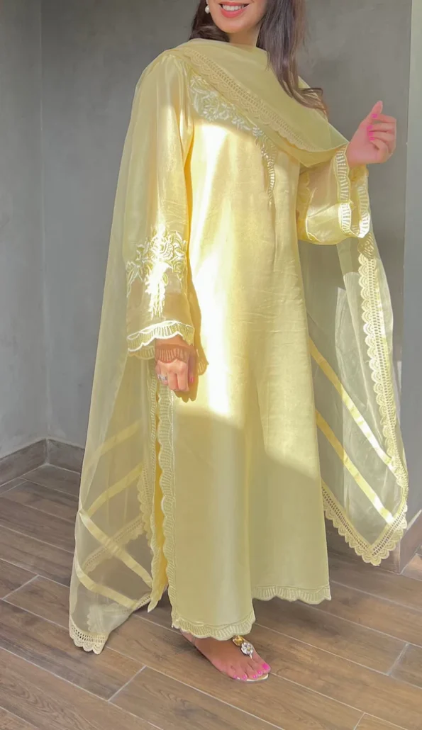 Dervesh Luxe | Merriam Wajid | Silk | Organza | Festive | Cut Work