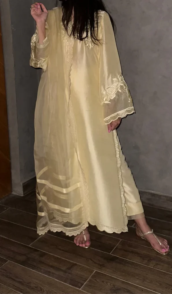Dervesh Luxe | Merriam Wajid | Silk | Organza | Festive | Cut Work