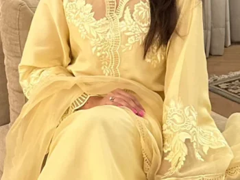 Dervesh Luxe | Merriam Wajid | Silk | Organza | Festive | Cut Work