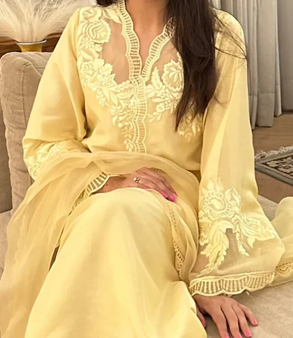 Dervesh Luxe | Merriam Wajid | Silk | Organza | Festive | Cut Work