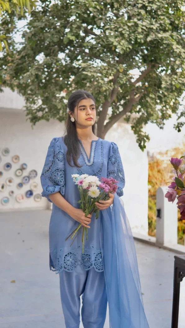 Dervesh Luxe | Merriam Wajid | Silk | Cut Work | Festive
